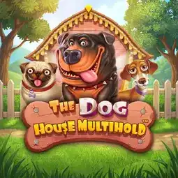 The Dog House Multihold game at Tiki Taka Casino for United Kingdom players
